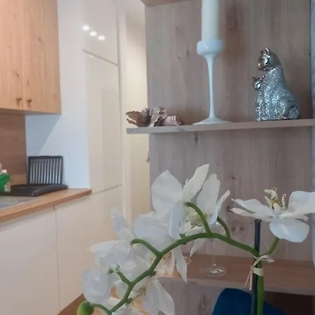 Apartment Jaworska 4 *